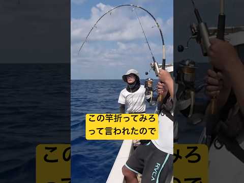 『折れるもんなら折ってみろ』って言われたので折りに行ってきた #泳がせ釣り