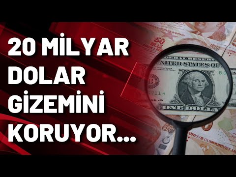 20 milyar dolar nereden geldi?