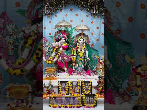 🙏 radhe 🥰 Krishna 🙏 radhe 🥰 krishna 🙏 radhe 🥰 Krishna 🙏🥰