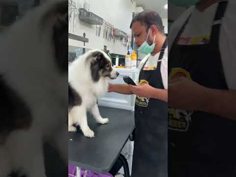 กัดกันไปปรึกษากันไป