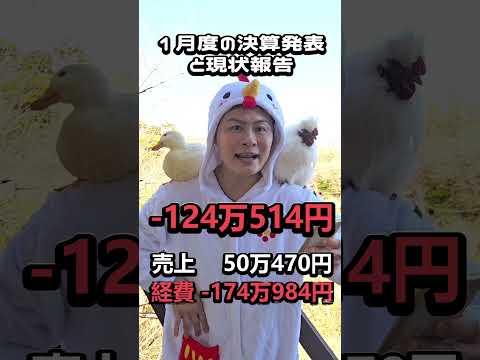 １月度の収支動画です！アヒルのふれあい広場の設計をしたい方を募集してます！詳しくは動画をご確認くださいm(__)m