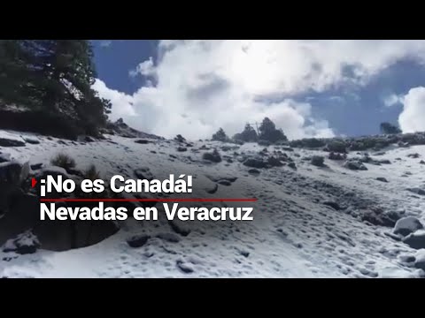 ¡IMÁGENES DE POSTAL! | Así luce el Parque Nacional Cofre de Perote, tras la tercera nevada