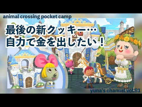 【ポケ森コンプリート】ポケ森最後の新クッキー…自力で金を出したい！最後の闘い！