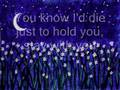 Evanescence-You {LYRICS} [Amy Lee Solo]