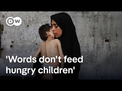Mass hunger in Gaza: What's the political price for Israel? | DW News