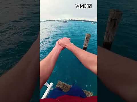 Give The Shark A Goldfish