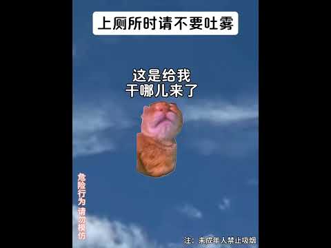 猫の動画サムネイル - 自创禁烟广告#有趣 #猫meme #猫meme剧场 #内容过于真实  #故事 #貓 #猫猫meme小剧场 #喵不可言