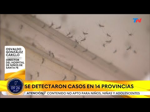 SANTA FE I Dengue: más de 7600 casos y tres nenes internados