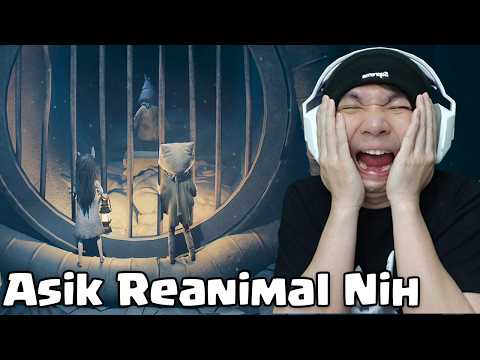 Perjalanan Si Karung Dan Si Bunny - Reanimal Indonesia