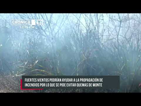 Precaución: Fuertes vientos para esta semana en Nicaragua