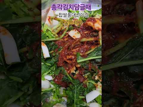 총각김치담글때#찬밥#<strong>배즙</strong>#양파즙
