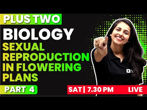 PLUS TWO BIOLOGY | CHAPTER 1 PART 4 | Sexual Reproduction in Flowering Plants | EXAM WINNER