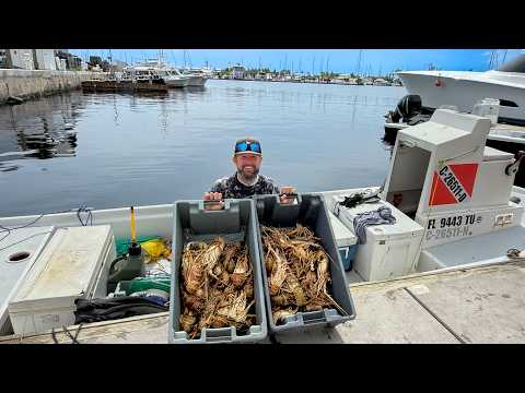 Commercial lobster diving - rinse & repeat video thumbnail
