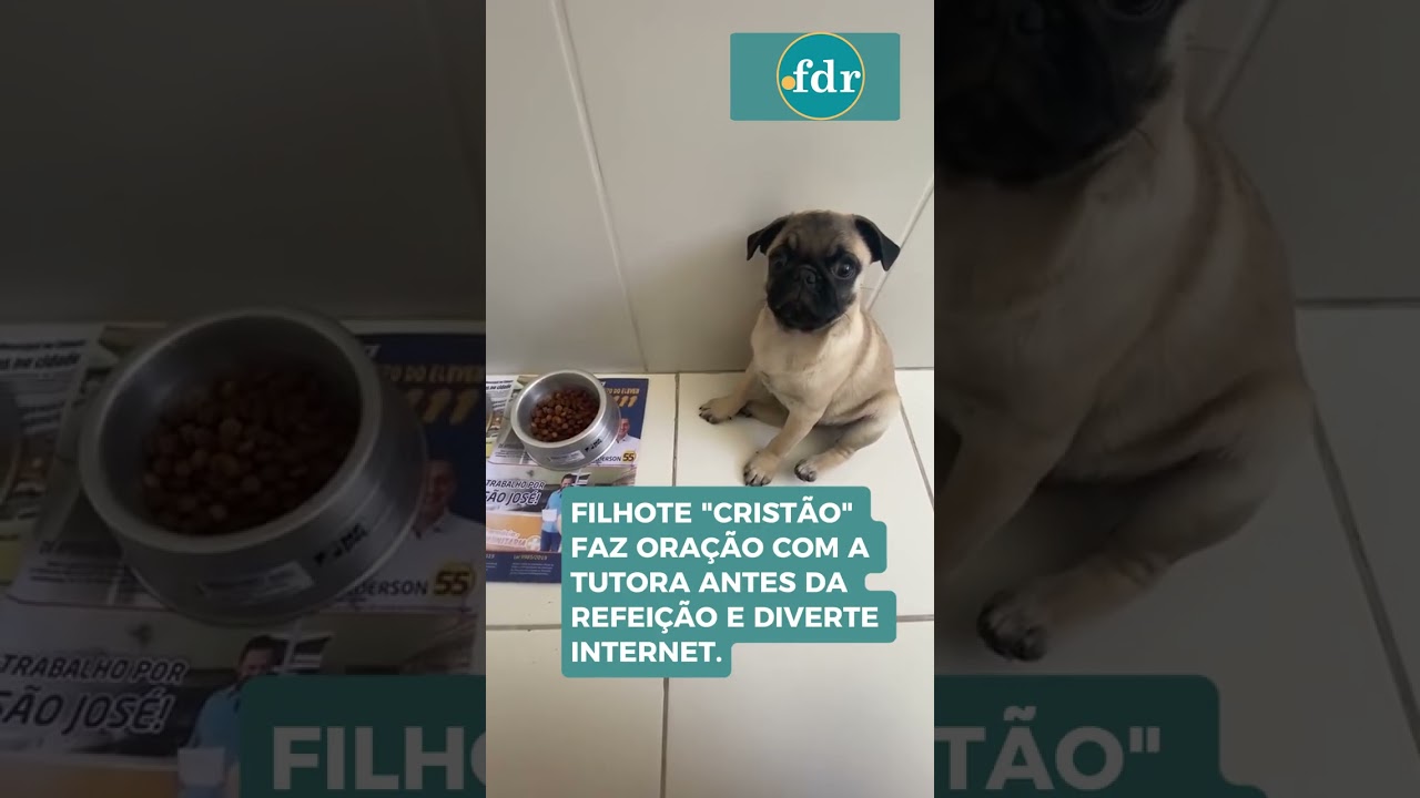 Quem disse que só os humanos rezam 😍