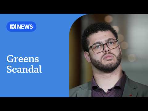 Greens senator on leave after allegations of inappropriate comments | ABC NEWS