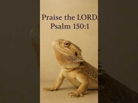 #worshipmusic #gospelmusic #christianmusic #dailybibleverse #beardeddragon