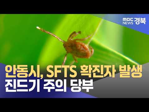 안동시, SFTS 확진자 발생..진드기 주의 당부