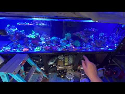 🦅 💩 Need help setting up your aquarium? Contact Majestic Aquariums