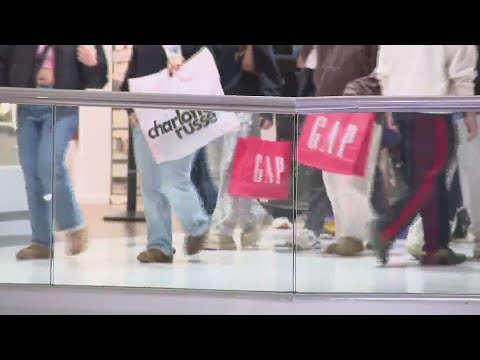 Black Friday shopping underway at Woodfield Mall