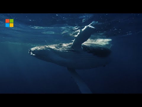 Uncovering the hidden dangers in our oceans