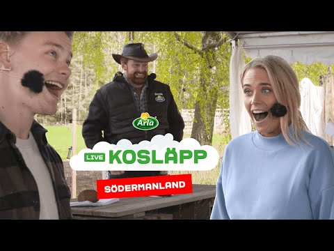 Digitalt Kosläpp på Arlagård i Södermanland