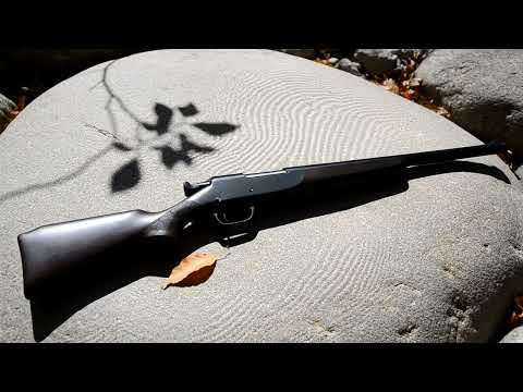 Spring Zen Garden (2H40M) — Blossoms, Songbirds & Water | Study Relax Sleep