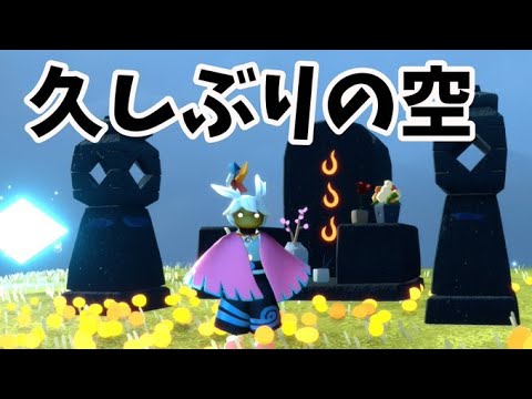 【Sky】いろいろサボってたのを取り戻す配信！！　#sky星を紡ぐ子どもたち