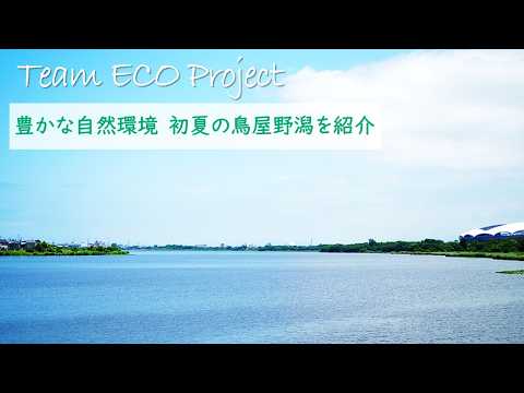 豊かな自然環境 初夏の鳥屋野潟を紹介