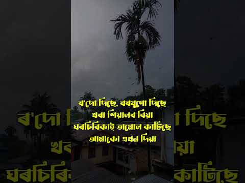 ৰ'দো দিছে, বৰষুণো দিছে,খৰা শিয়ালৰ বিয়া, ঘৰচিৰিকাই তামোল কাটিছে, আমাকো এখন দিয়া #shorts