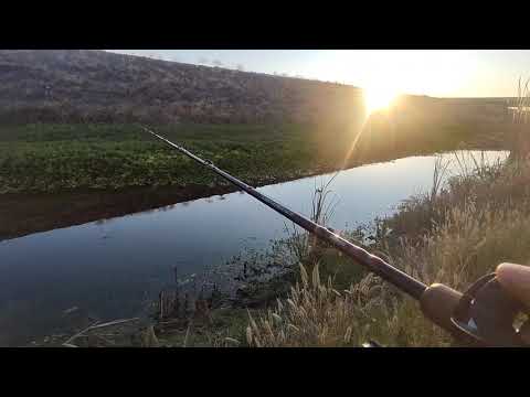 FIRST FROG FISH AND TOP WATER OF THE YEAR JUNE TOP TODAY I GOT MY FIRST FROG FISH ON CAMERA. MUCH LOVE