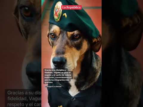 🕊️ ENTRE LÁGRIMAS, DESPIDEN A VAGUITO EN UNA EMOTIVA CEREMONIA #shorts #lr