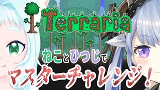 【Terarria】初心者でもマスターモードがやりたい！！！！#9【拉致/コラボ】