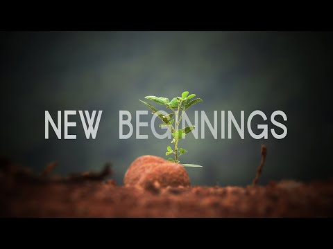 New Beginnings | Will McCain | January 1, 2023