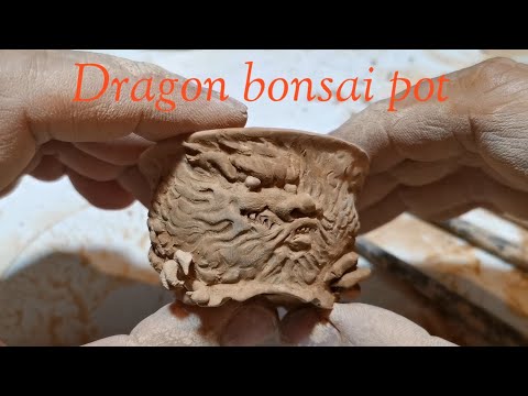 Dragonbonsaipot:กระถางบอนไ