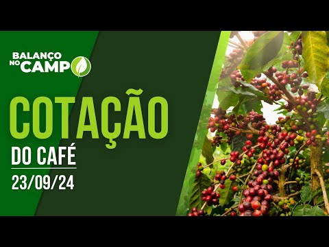 COTAÇÃO DO CAFÉ - 23/09/2024