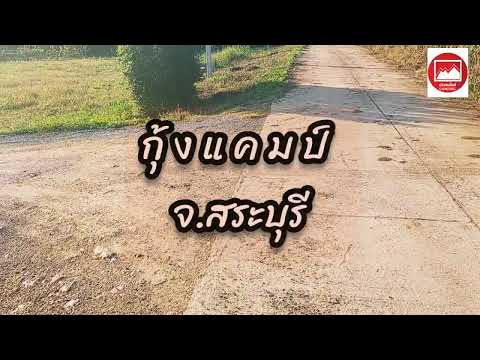 ตรงนี้กางเต็นท์ริมน้ำEP.26Ku