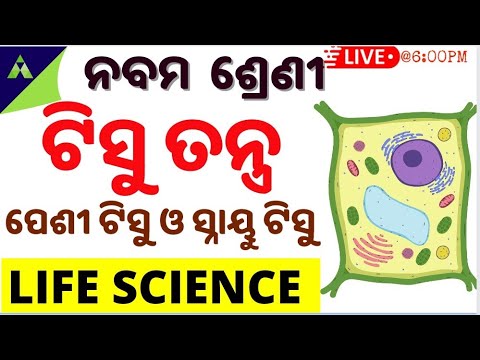 class 9 Life science in odia |ଟିସୁ ତନ୍ତ୍ର  | Chapter – 3| Tissue Tantra in odia | ପେଶୀ ଟିସୁ