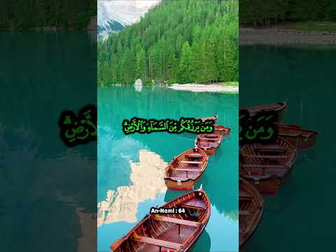 Le Créateur ou le hasard ? Ce que la nature montre vraiment #13