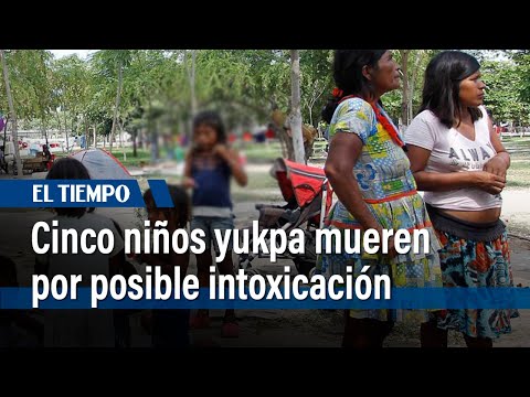 Tragedia por muerte de cinco niños yukpa: autoridades investigan | El Tiempo