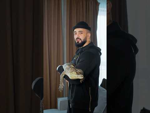 Осталось найти ЧЕБУРАШКА😇