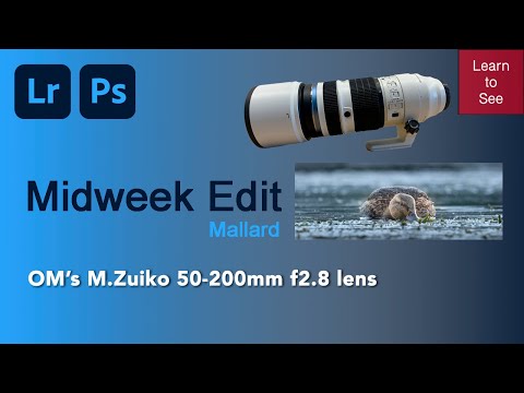 Midweek edit - Mallard with the OM M.Zuiko 50-200mm f2.8 lens.