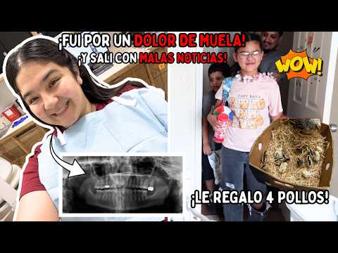❗️FUI A DENTISTA POR DOLOR DE MUELA🦷 …SALI CON MALAS NOTICIAS 😭 + TENEMOS 4 POLLOS 🐥 | JULIE&FAMILIA