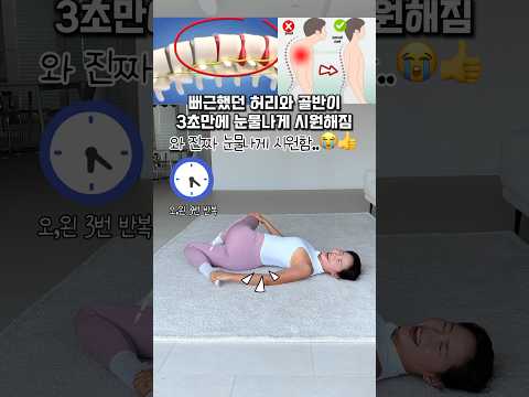 척추가 놀랍게 시원해집니다✨#흥둥이홈트 #흥둥이 #workout #홈트레이닝