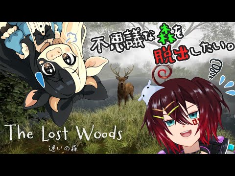 thumbnail_EWaaJs1i6WQ