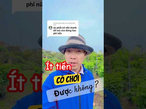 Ít tiền có chơi cây được không ? #tuanbonsai