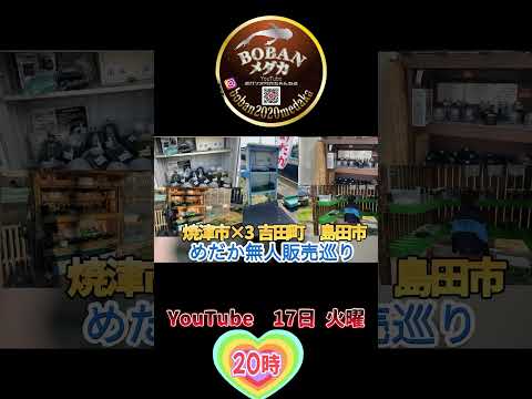 静岡県中部　めだか無人販売所5ヶ所巡り‼️