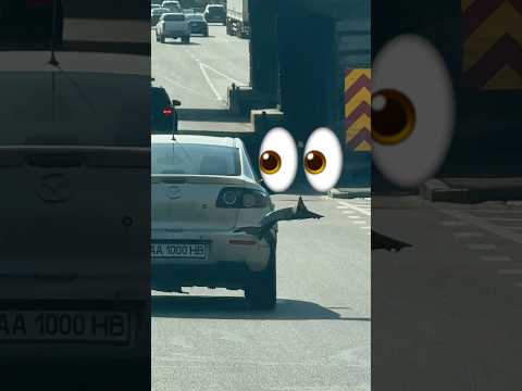 Mazda 3 розправила крила 🪽 #mazda #київ