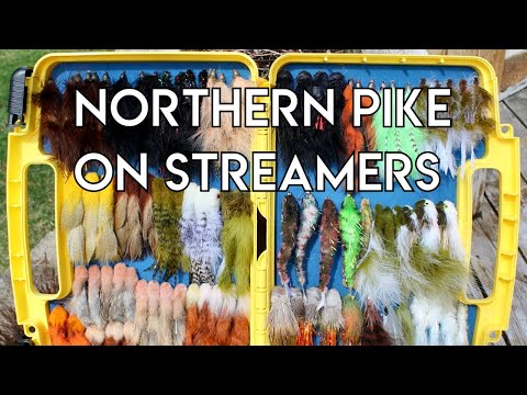 Pike on Streamers