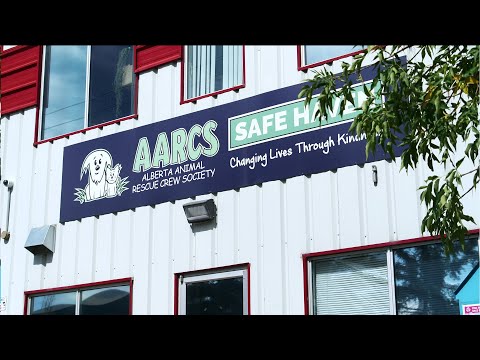 Wild Rose Vets Season 1 WEBISODE Alberta Animal Rescue Crew Society
(AARCS) and Amy