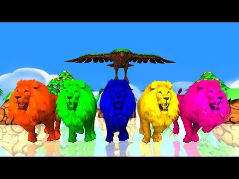 Lion animals finger family song for kids,colors Finger family rhymes,nursery rhymes,NASH TOON Tv
